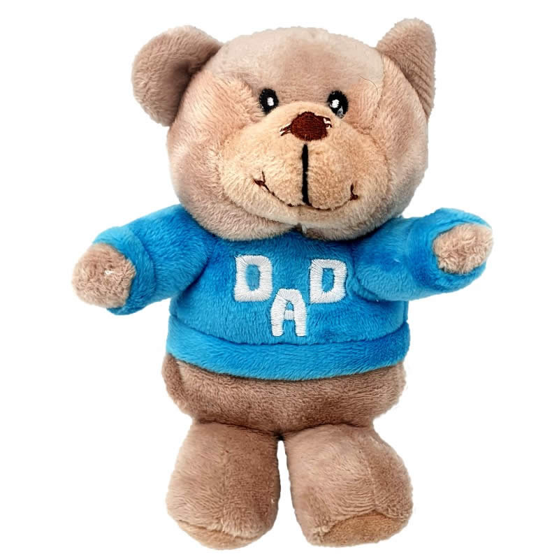Talking Teddy